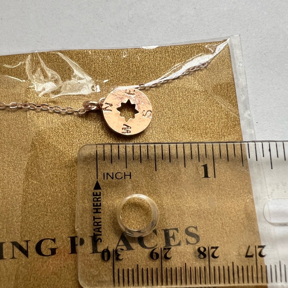 NWT Rose Gold Compass "Going" Places Pendant Necklace - Picture 6 of 6